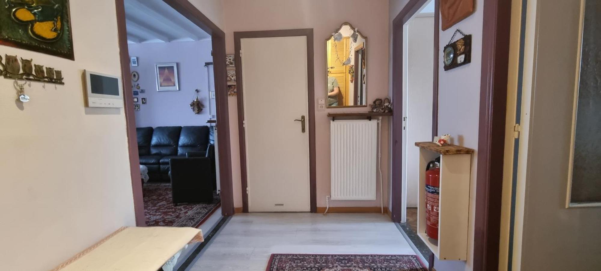 Ruggeveld Amberes